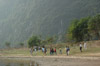 On the Bank