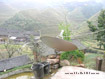 The beautiful terraced fields