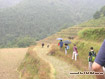 Long Terraced Field