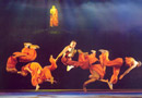 Kungfu Show Beijing