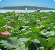 Hangzhou Tours