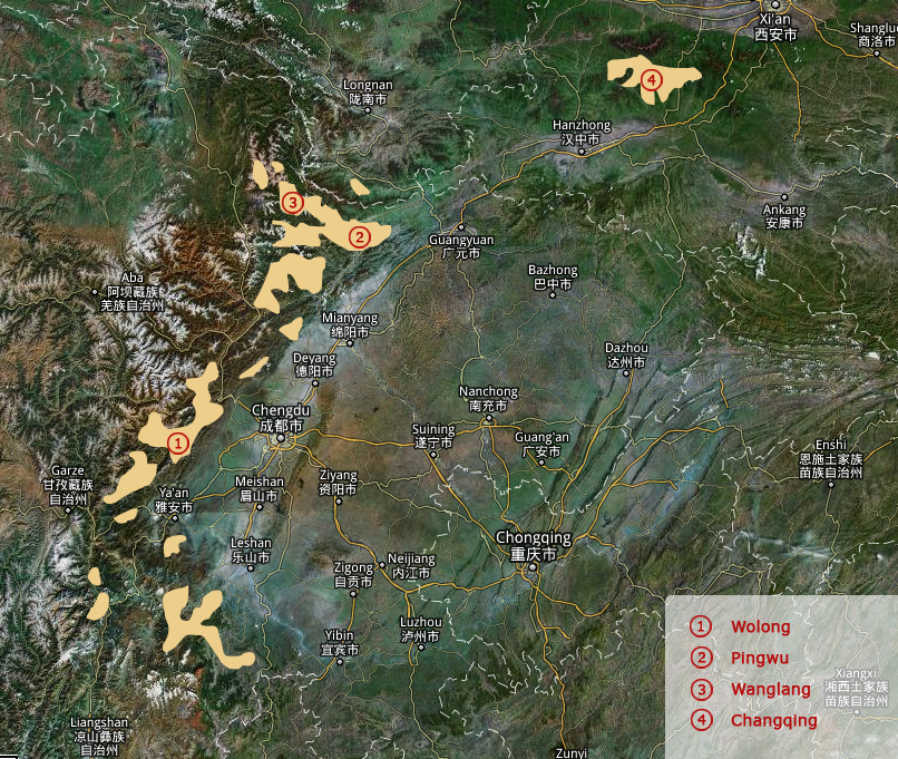 Panda Distribution Map