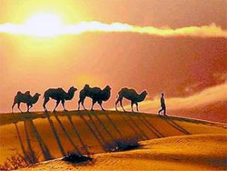 Silk Road  Tours