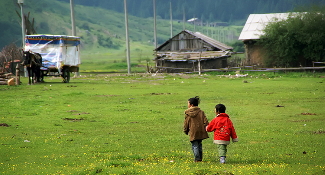 Gannan Grassland