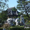 Suzhou Garden