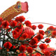 Spring Festival