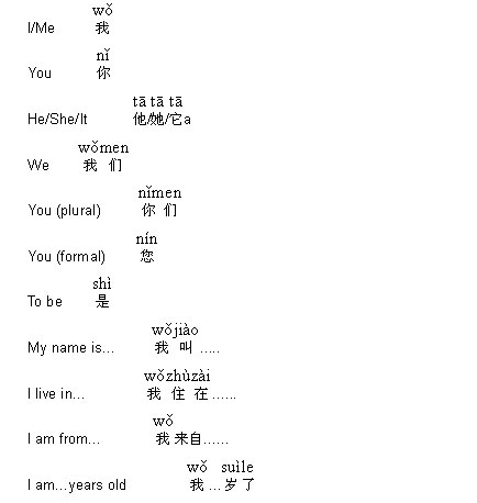 Chinese dictionary