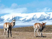 Kunlun Mountains