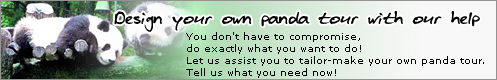 Design your own panda tour 
